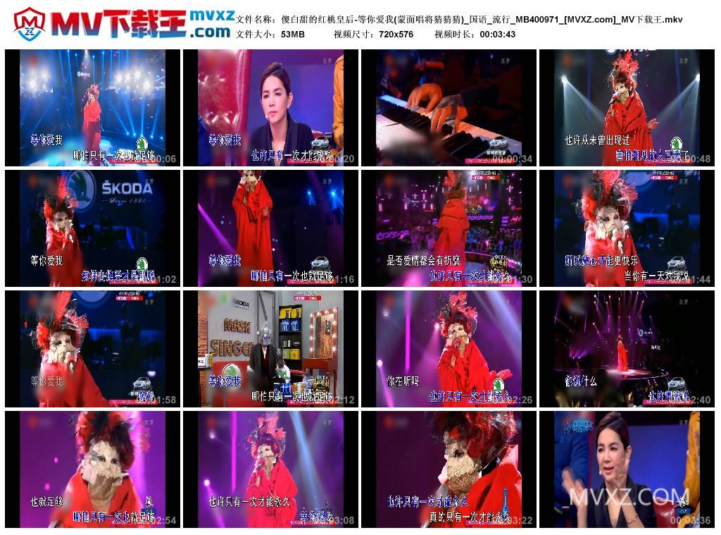 傻白甜的红桃皇后-等你爱我(蒙面唱将猜猜猜)_国语_流行_MB400971